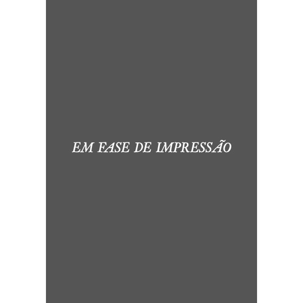 As Guerras nos Palmares