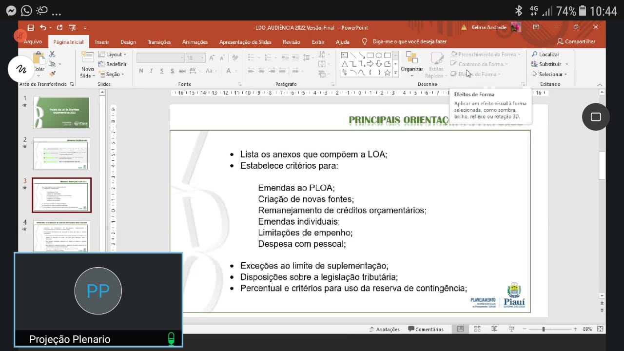 Audiência pública sobre LDO na ALEPI