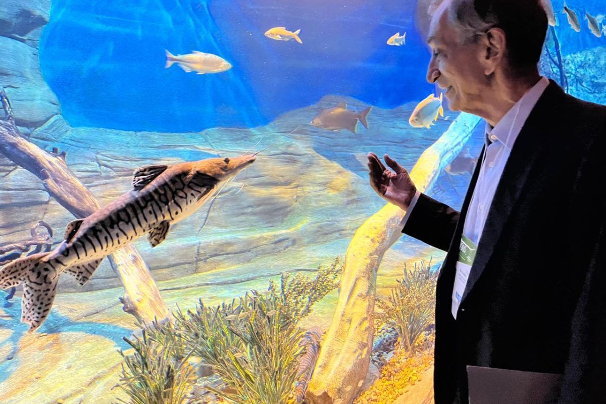 Poeta e acadêmico Antonio Cícero (ABL) encanta-se com o peixe no Bioparque.