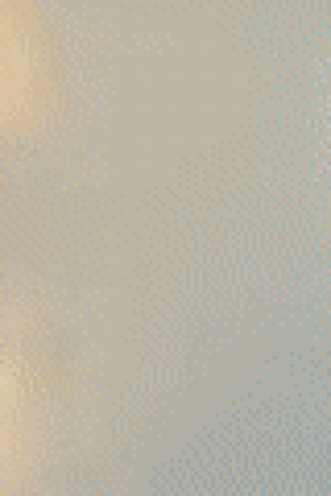 Banner PACTO 970 x 120