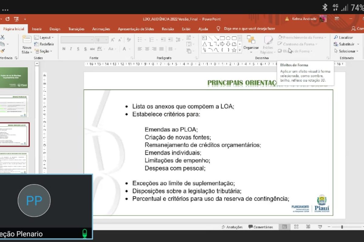 Audiência pública sobre LDO na ALEPI